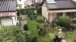 【作業用】台風8号 雨の音 風の音【睡眠用】Live delivery of typhoons coming to Japan