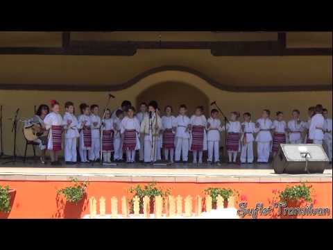 5 Ansamblul Românașul Prejmer - Vatra Satului 2015 (ziua I)