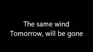 What I'd Give To Be The Wind.wmv