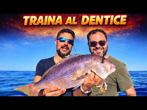 TROLLING WITH LIVE BAIT: FROM CUTTLEFISH TO DENTIX