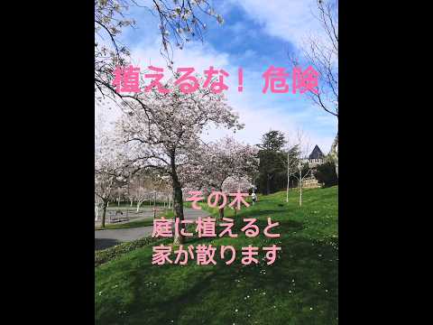 園芸 桜に関するよくある質問