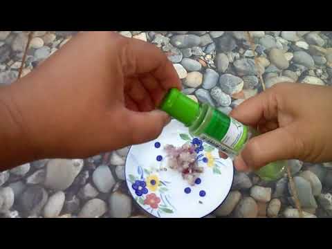 download lagu mp3 mp4 Tips Mengobati Batuk Anak, download lagu Tips Mengobati Batuk Anak gratis, unduh video klip Tips Mengobati Batuk Anak