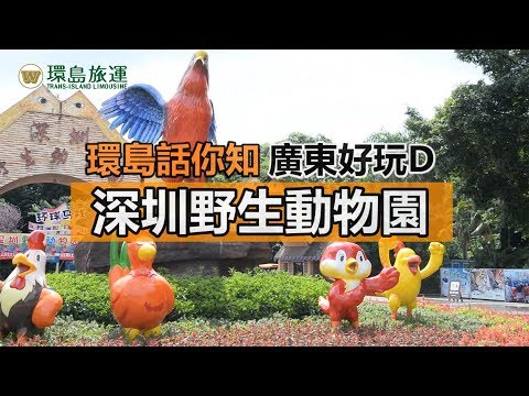 [環島話你知 廣東好玩D] 深圳野生動物園 | 超抵玩$$ [中字] | 環島中港通跨境巴士香港直達