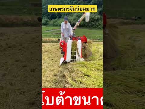 รถเกี่ยวข้าวคูโบต้าขนาดเล็ก! ตัวจิ๋วแต่แรง เกี่ยวไว งานเนี๊ยบ #shorts #farming #bulldozerofficial