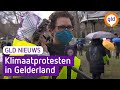 GLD Nieuws 14 maart 2021