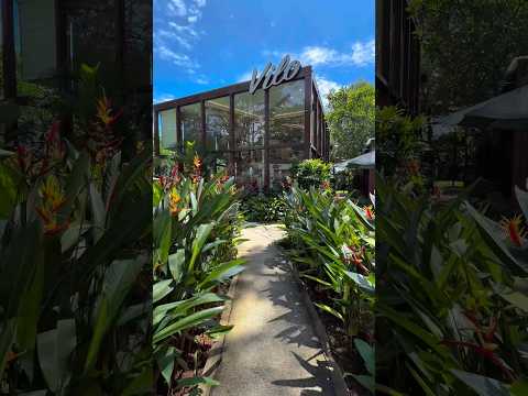 CAFE ESTETIK VILO GELATO #vilogelato #gelato #wisatakuliner