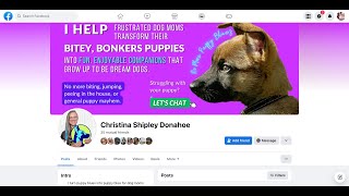 Analyzing Christina Shipley Donahoe's "K9 Inclined" Dog Training Business Website