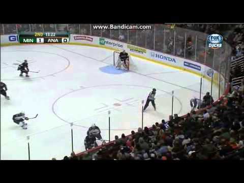 Minnesota Wild vs Anaheim Ducks