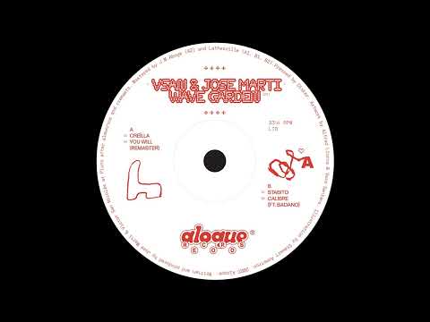 Vsan & José Martí - You will (remaster) [ALQ002]