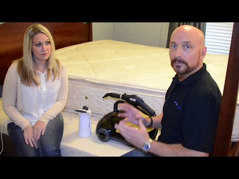 How to Get Rid of Bed Bugs in 4 Easy Steps