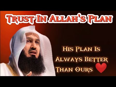 Trust In Allah's Plan❤️ | His Plan Is Always Better Than Ours ✨????| Mufti Menk speech |Islamic status