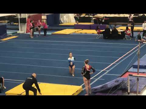 Dragon Invitational Gymnastics