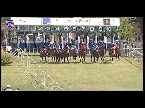 RM28 R2 | Jama | P.K.Horil