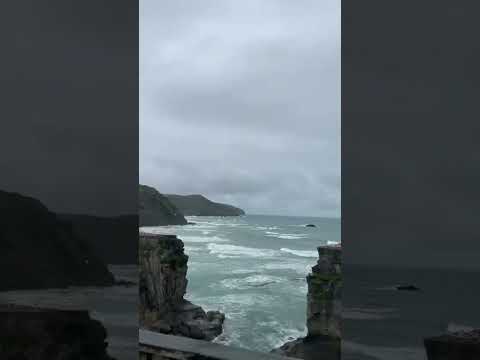 Muriwai Black Sand Beach