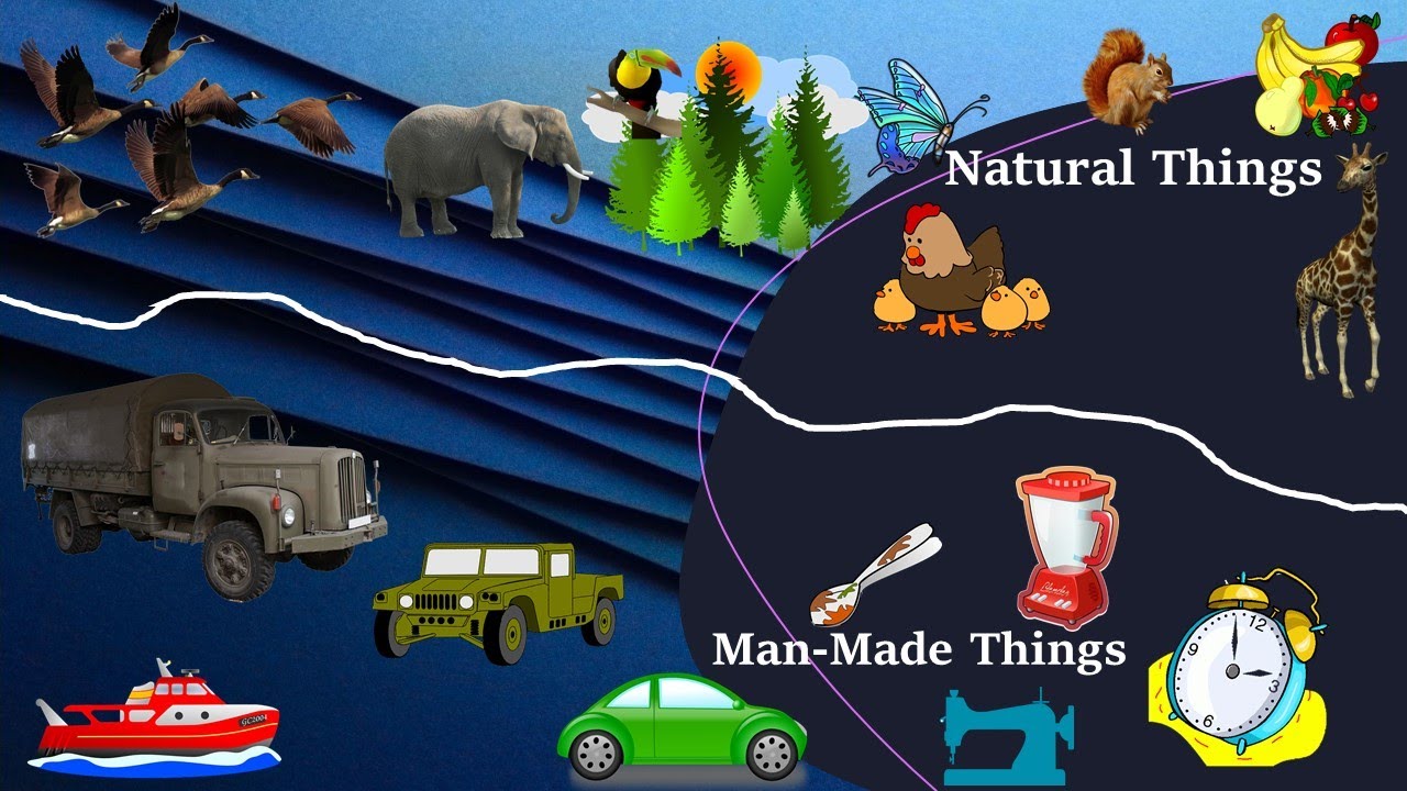 Classifying Objects (Using Microsoft PowerPoint)