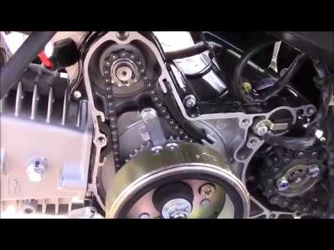How to replace a stator on your Pocket Bike, Dirt bike, ATV, Super Pocket Bike