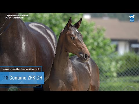 18 Cornet de Semilly x Diarado