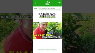 "거짓말했습니다.." 접목 성공률 100% 장담했다가 실패한 진짜 이유 #shorts #farming