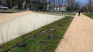 Где клюет рыба в переславле