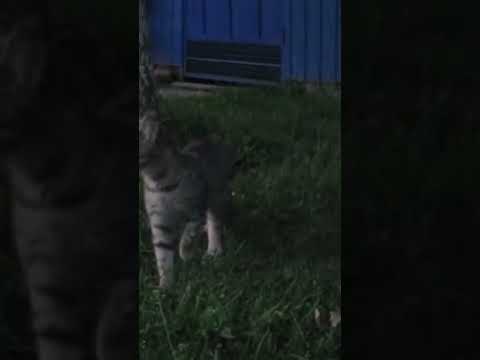 Autumn Winds- HTU #newsong #music