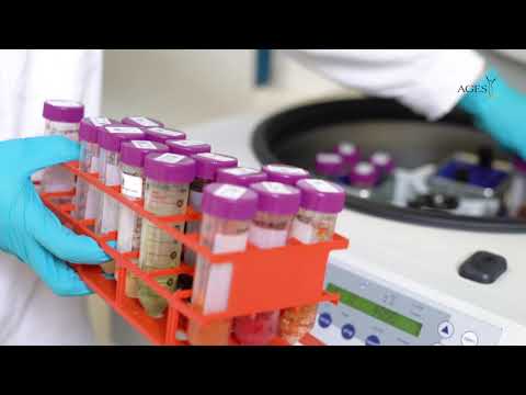 Pflanzenschutzmittel-Rückstände in Lebensmitteln