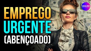 Frequency to Get a JOB 👩‍💻 Receive a Job OFFER | Pass the Interview