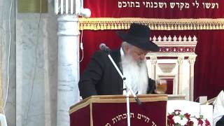 עבד השם | הילולת אור החיים  | הרב דניאל זר