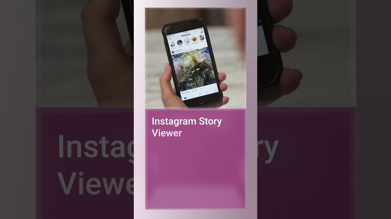 How to watch videos on Instagram without having an account?