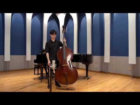 Johann Baptist Vanhal Kontrabasskonzert 1.Satz