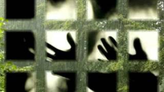 Valuva taivas - Neljä ruusua