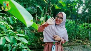 Download lagu SDS ALAM MADINAH SCHOOL ACADEMC YEAR 2020-2021 mp3