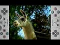 The Emperor S New Groove Play With A Real Llama Sony PlayStation PSX PSone PS Commercial Full HD