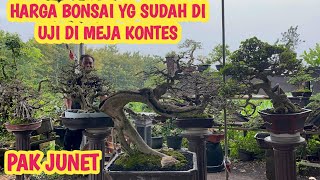 Download lagu HARGA BONSAI” YG SUDAH TERUJI DI MEJA KONTES ,DLL 📞 0812-5248-0381 @JeckpaeyBonsai91  mp3