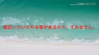 【報告動画】動画について