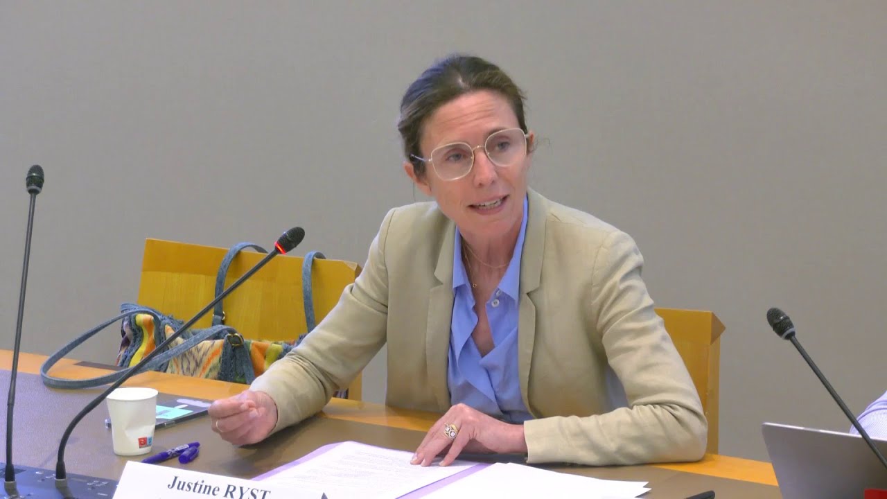 Modération, accord avec France Télévisions… Au Sénat, YouTube s’affiche en bon élève de l’information