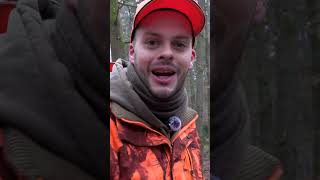 🐗 DAS passiert auf der Drückjagd des Jahres 2026! 🦌