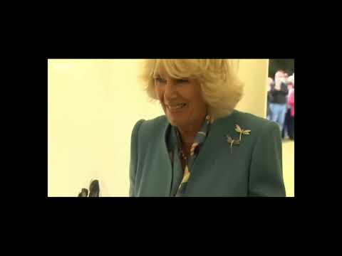 * * Mock the Week Newsreel - Prince Charles & Camilla at a Fete * *