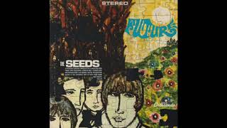 The Seeds - Now a Man