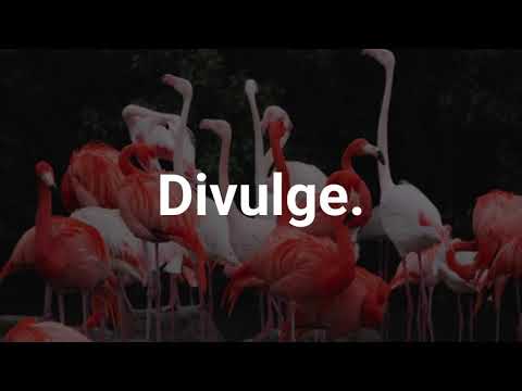 Redondo, Tobtok, Penny F - Pick You Up (feat. Penny F Extended Mix) [Perfect Havoc]