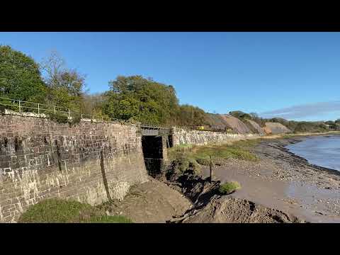 56105/56096 on RHT train at purton, nr lydney 4.11.22