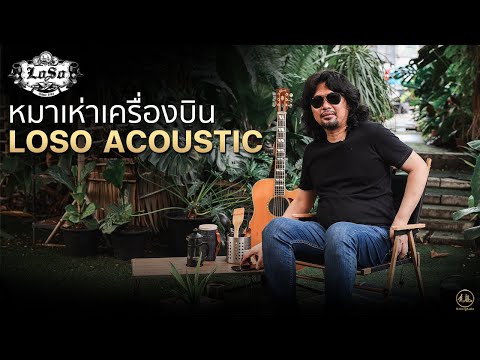 หมาเห่าเครื่องบิน | LOSO Acoustic