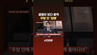 곰팡이 보다 충격…주방 안 '담배' #JTBC #Shorts