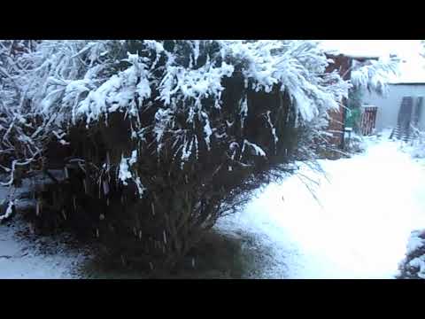 Snowfall in Bariloche—Part I