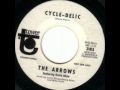 Davie Allan & The Arrows - Cycle Delic (King Fuzz 1967)
