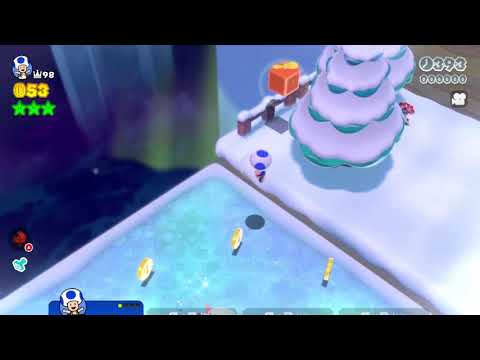 3d world 3-1 speedrun attempt
