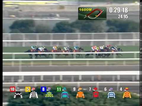 2014 Steward's Cup (HK Group 1)