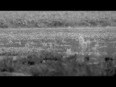 ACHE- Emawk (Outro) | Extended Mix (Tik Tok Sound) 8 Minutes