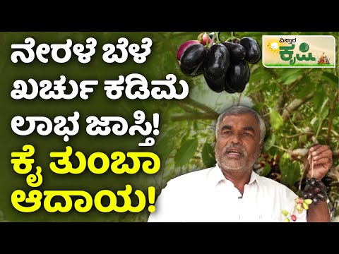 Nerale Hannu Farming | Jamun Fruit Farming | ಕಡಿಮೆ ವೆಚ್ಚದಲ್ಲಿ ನೇರಳೆ ಕೃಷಿ ಮಾಡಿ, ಉತ್ತಮ ಆದಾಯ ಗಳಿಸಿ!