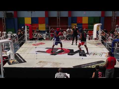 BH Sparta 12 -  Iago Blade x Yan