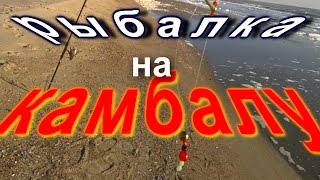 Как поймать камбалу в черном море